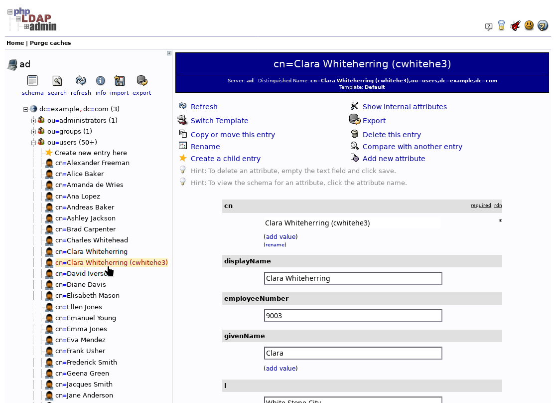 List of AD accounts on the AD server including the new accounts created in HRIS